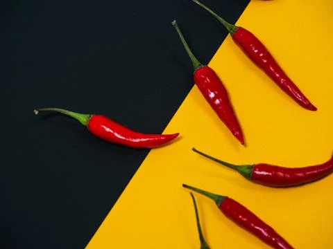 Chilli pepper on the black background. empty space for your text. blank for d Stock Photos