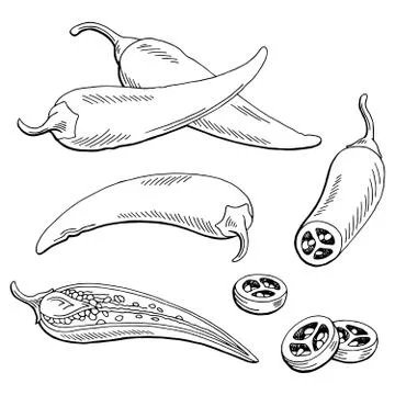 Chilli pepper graphic black white isolated sketch illustration vector Illustrazione stock