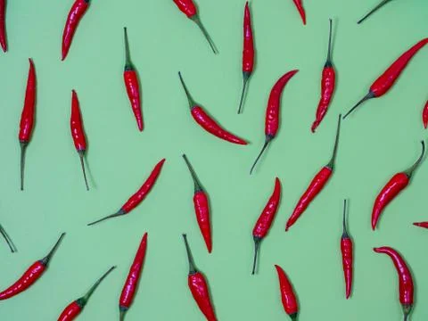 Chilli pepper on the green background. empty space for your text Stock Photos