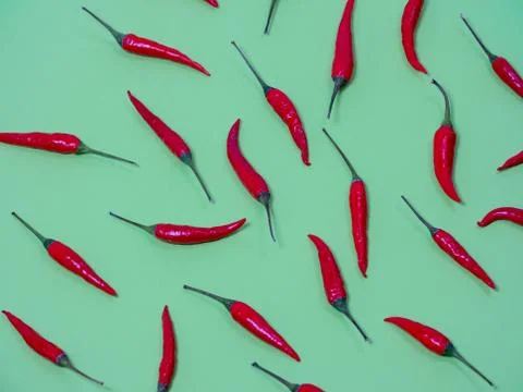 Chilli pepper on the green background. empty space for your text Stock Photos