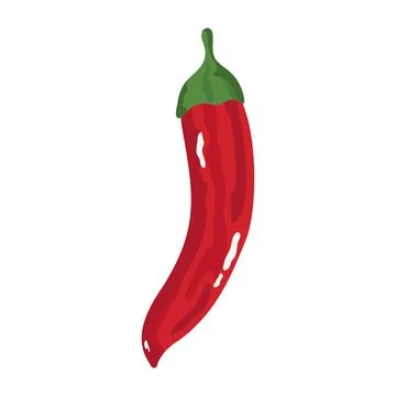 Chilli pepper hot vegetable Stock Illustration