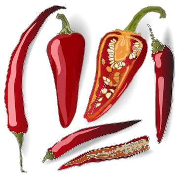 Chilli pepper Stock Illustration