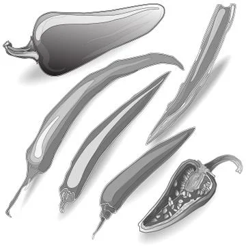 Chilli pepper Stock Illustration
