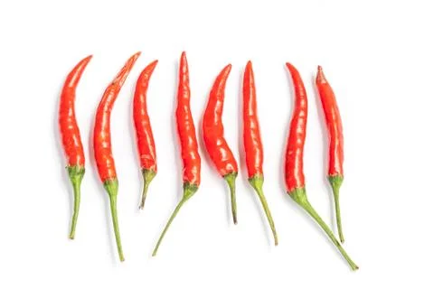 Chilli pepper isolated Stock Photos