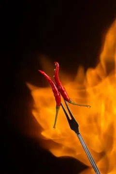 Chilli pepper on a meat fork with flame behind on a black background Stock Photos