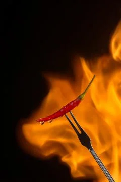 Chilli pepper on a meat fork with flame behind on a black background Stock Photos