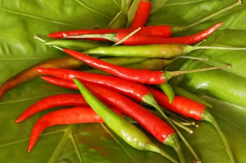 Chilli pepper Stock Photos