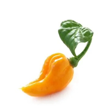 Chilli Pepper Stock Photos