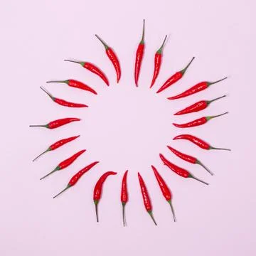 Chilli pepper on the pink background. empty space for your text. circle of ch Stock Photos