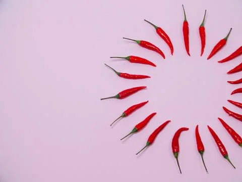 Chilli pepper on the pink background. empty space for your text. circle of ch Stock Photos