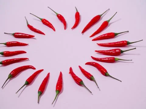 Chilli pepper on the pink background. empty space for your text. circle of ch Stock Photos
