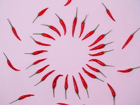Chilli pepper on the pink background. empty space for your text. circle of ch Stock Photos