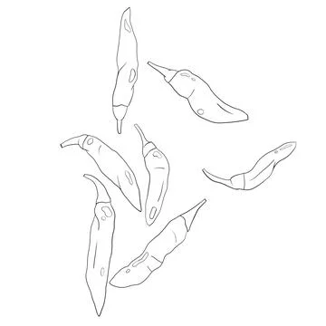 Chilli Pepper Vector - Bold and Spicy Design Element Stock Illustration