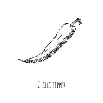 Chilli pepper. Vector illustration. Isolated object on white. Stock Illustration