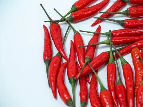 Chilli pepper on the white background. empty space for your text. blank for d Stock Photos