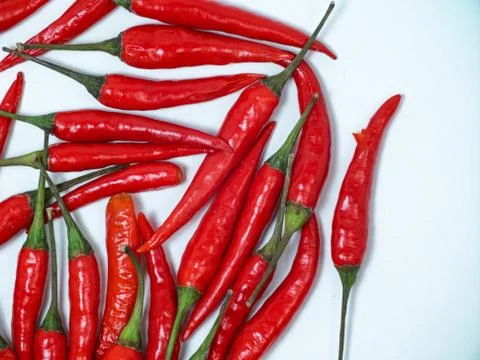 Chilli pepper on the white background. empty space for your text. blank for d Stock Photos