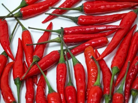 Chilli pepper on the white background. empty space for your text. blank for d Stock Photos