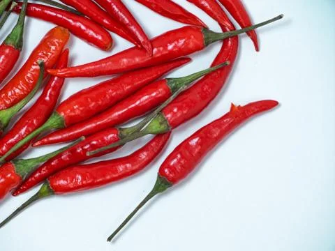 Chilli pepper on the white background. empty space for your text. blank for d Stock Photos