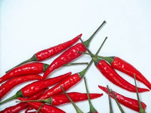 Chilli pepper on the white background. empty space for your text. blank for d Stock Photos