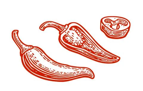 Chilli pepper whole, half, slices isolated on white background. Vector vintag Stock Illustration