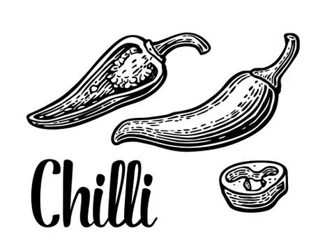 Chilli pepper whole, half, slices isolated on white background. Vector vintag Stock Illustration