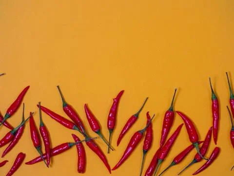 Chilli pepper on the yellow background. empty space for your text Stock Photos