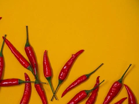 Chilli pepper on the yellow background. empty space for your text Stock Photos