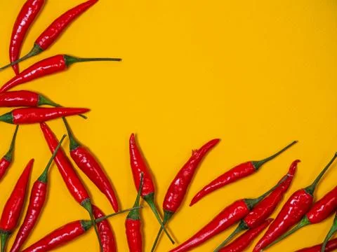 Chilli pepper on the yellow background. empty space for your text Stock Photos