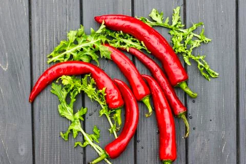 Chilli peppers and arugula, lying horizontally Stock Photos