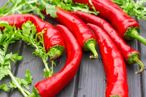 Chilli peppers and arugula, lying horizontally Stock Photos