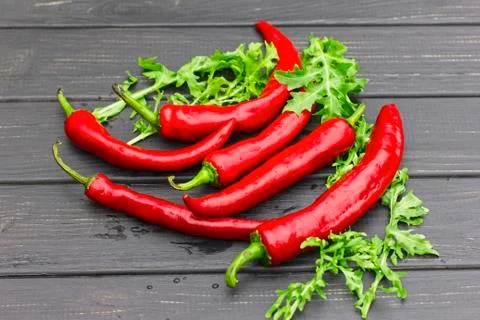 Chilli peppers and arugula, lying horizontally Stock Photos