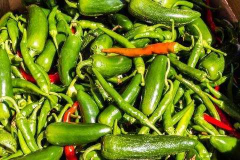 Chilli peppers making a background Stock Photos