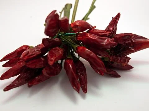 Chilli peppers 库存照片