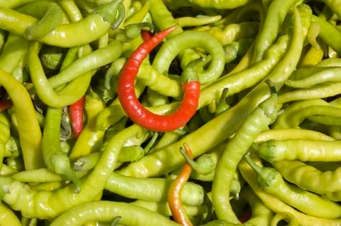 Chilli peppers Stock Photos