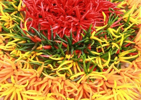 Chilli peppers Stock Photos