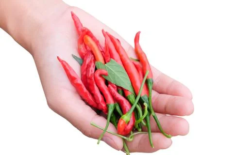 Chilli peppers Stock Photos