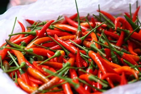 Chilli Peppers Stock Photos