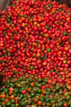 Chilli peppers Stock Photos