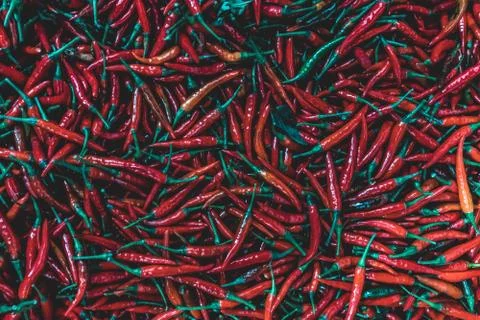 Chilli peppers Stock Photos