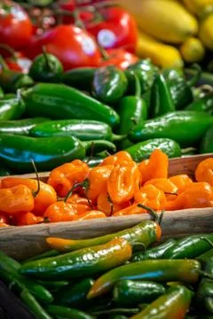 Chilli Peppers Stock Photos