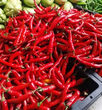 Chilli peppers Stock Photos
