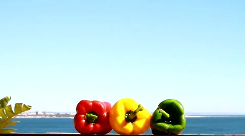 Chilli Peppers&amp;Mosquito Stock Footage 777147