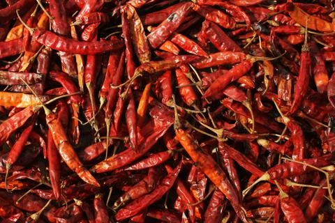 Chilli Stock Photos