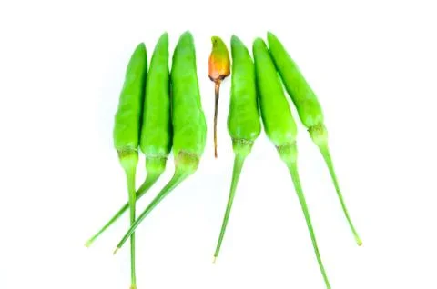 Chilli Fotos de archivo