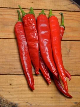 Chilli Stock Photos