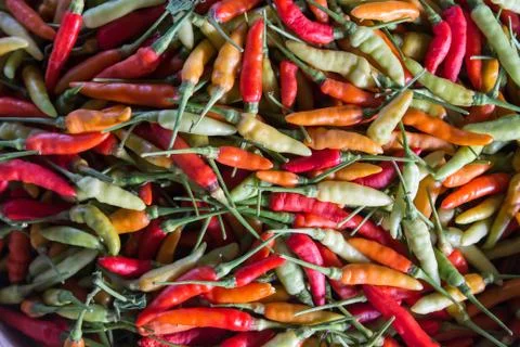 Chilli Stock Photos