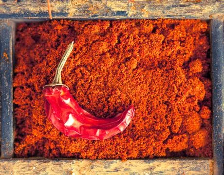 Chilli powder with a chilli pepper Stock Photos