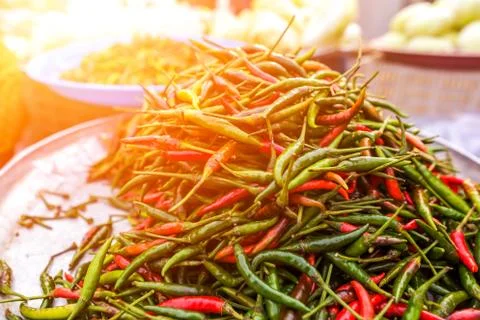 The chilli on the tray. Stock Photos
