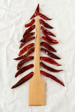 Chilli tree Stock Photos