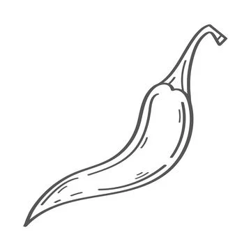 Chilli vegetable hand draw Stock Illustration